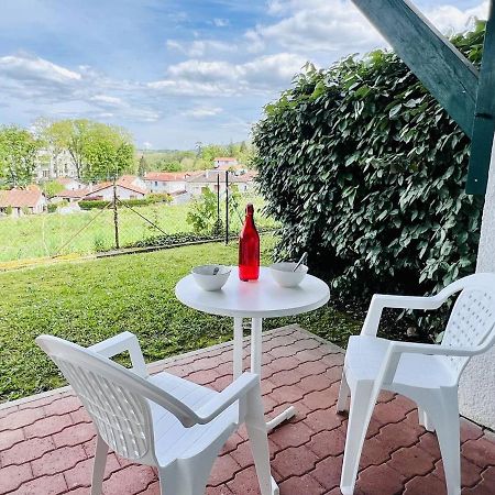 Studio Eglantine A Cambo-Les-Bains, Proche Thermes, Terrasse, Parking, Acces Internet, Animaux Ok - Fr-1-495-106 מראה חיצוני תמונה